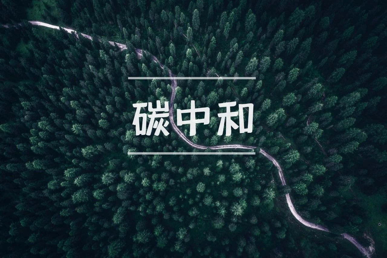 打好實現(xiàn)碳達峰碳中和這場硬仗